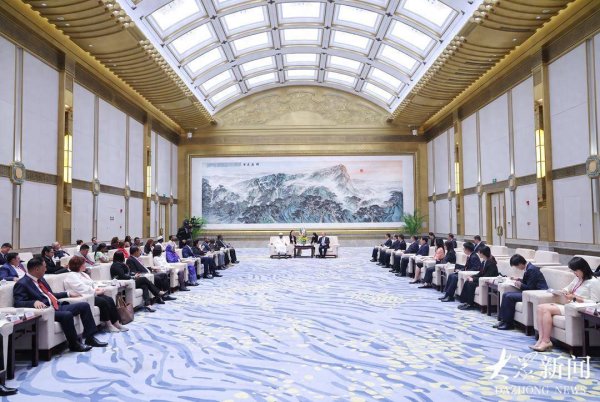 宏基资本 林武会见第七次发展中国家议员研讨班外宾