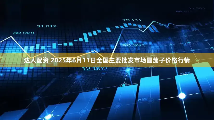 达人配资 2025年6月11日全国主要批发市场圆茄子价格行情
