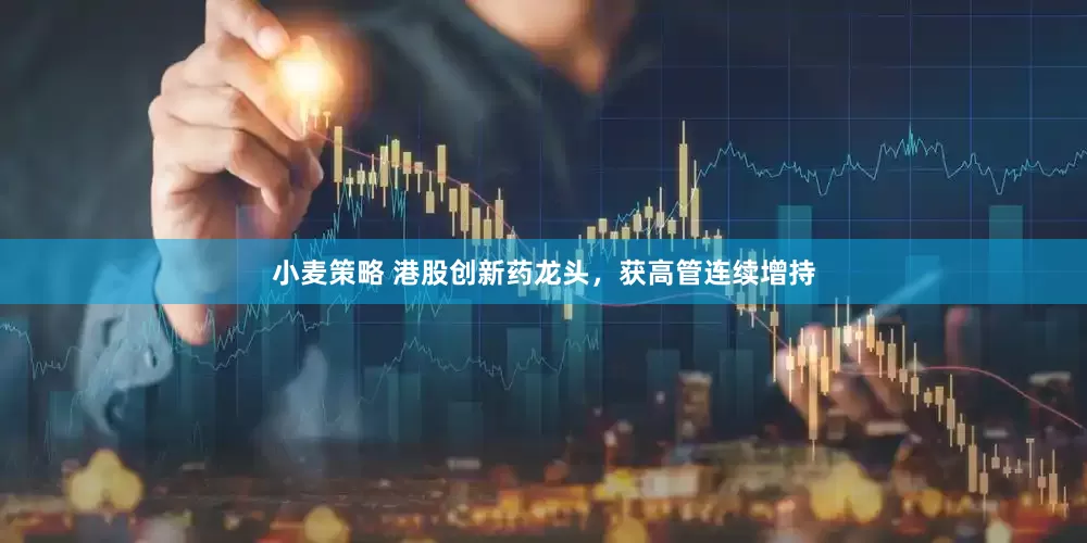 小麦策略 港股创新药龙头，获高管连续增持